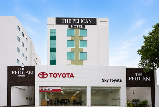 The Pelican