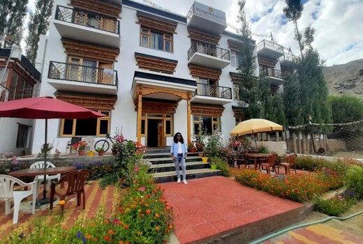 Marigold ladakh