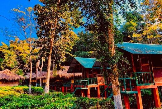 Nature Hunt Eco Camp