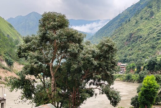 ADITYA GUEST HOUSE
