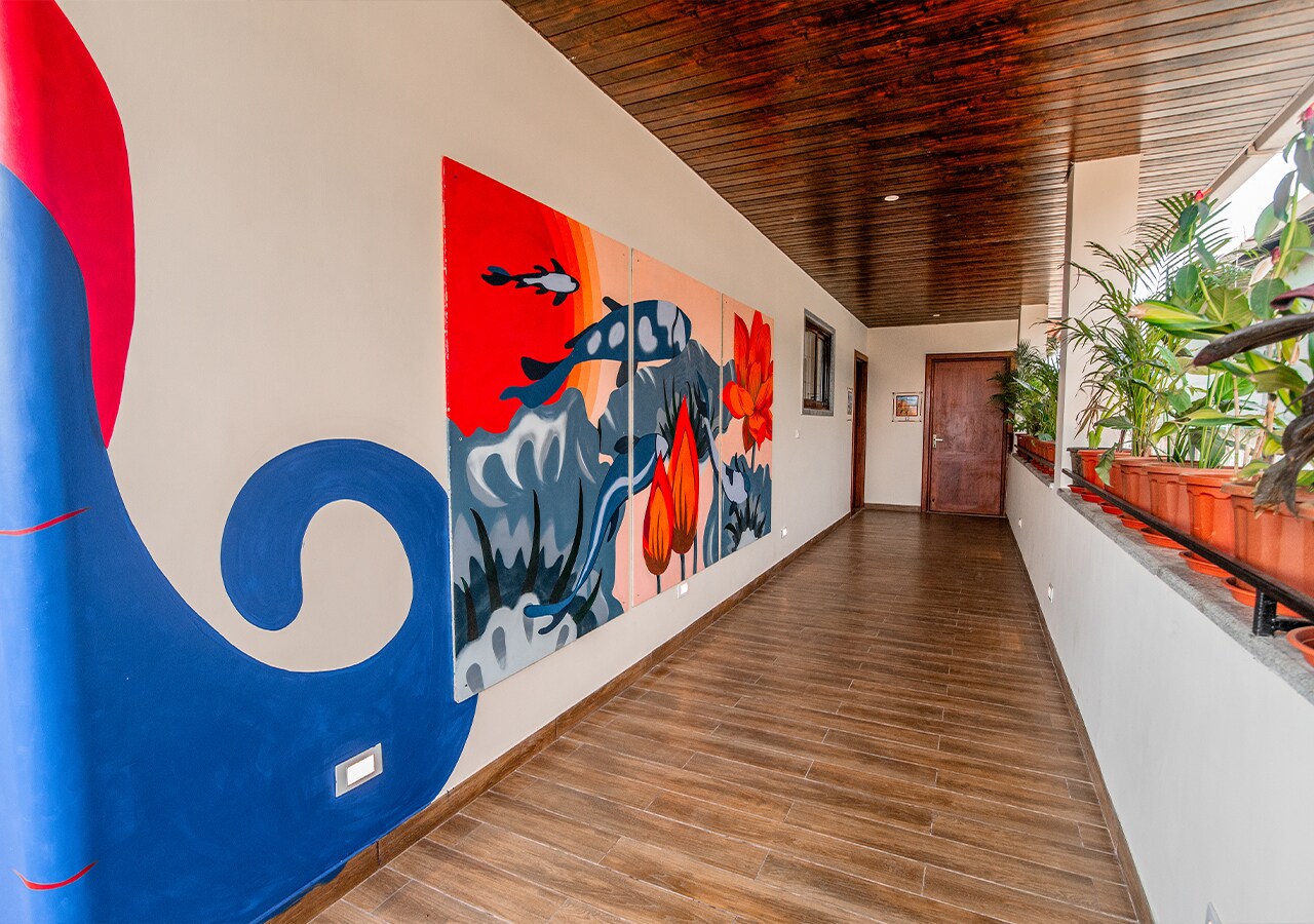 Main gallery