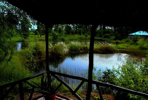Tiger Lagoon Bandhavgarh National Park