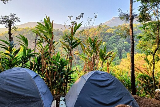 Hidden Valley Campsite