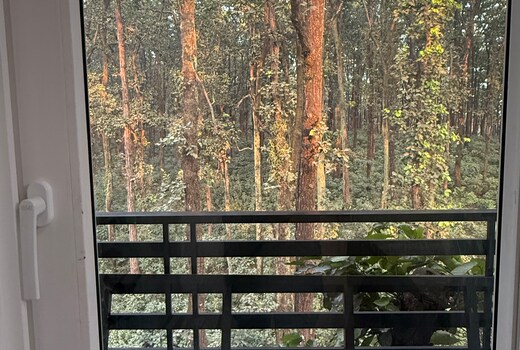 Nature s haven