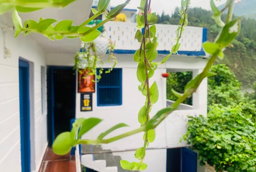 Couple Home A Traditional 1 Bedroom Apartment