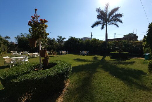 Green Club Farm