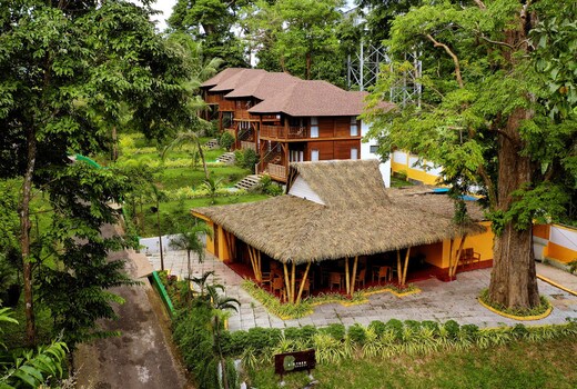 Big Tree Cottages