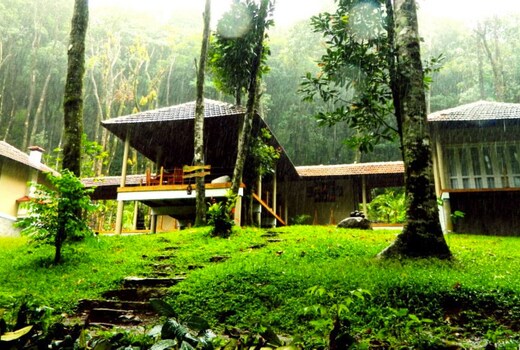 Lanternstay Jungle Resort