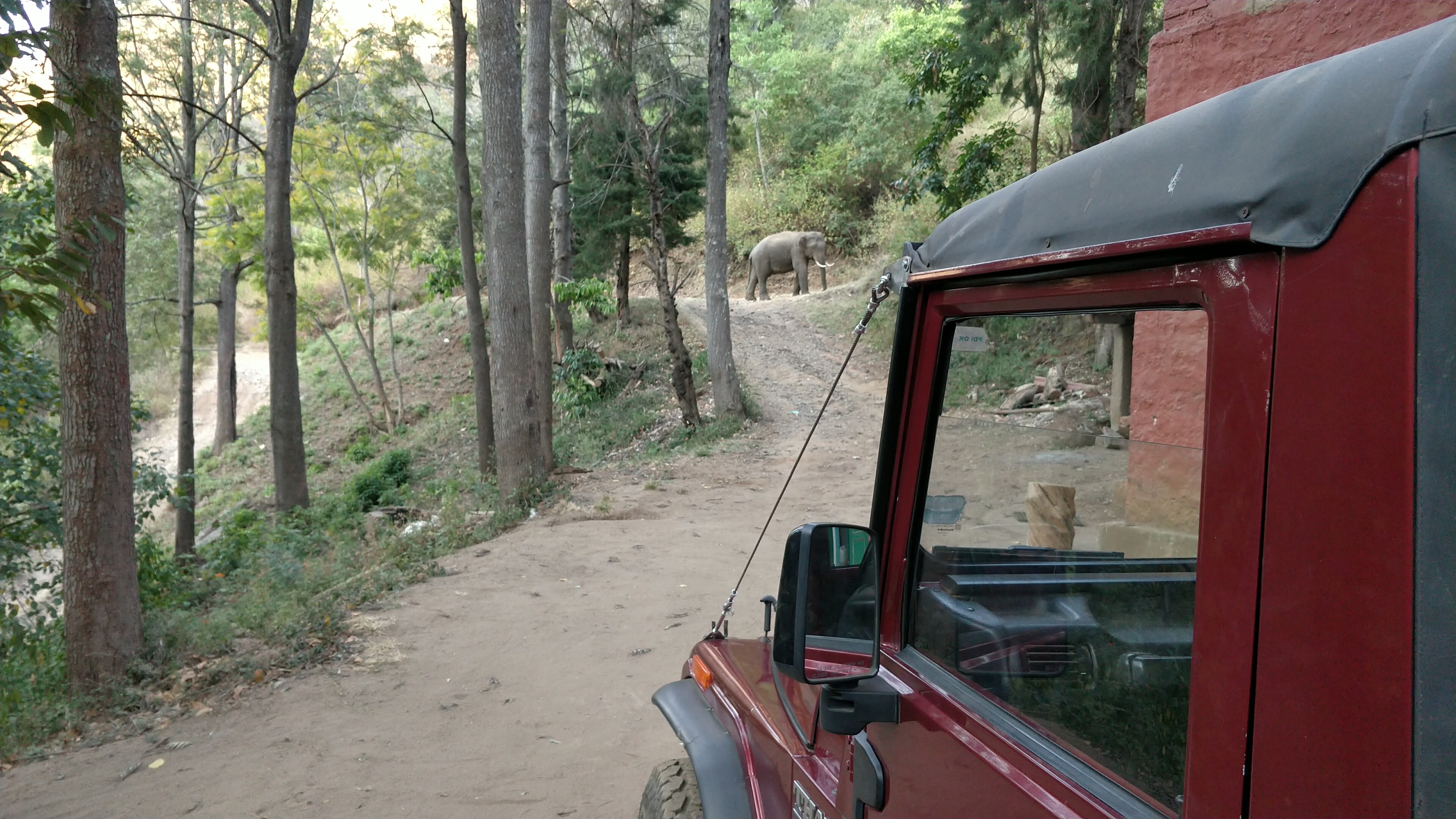 Secret Valley Jungle Resort