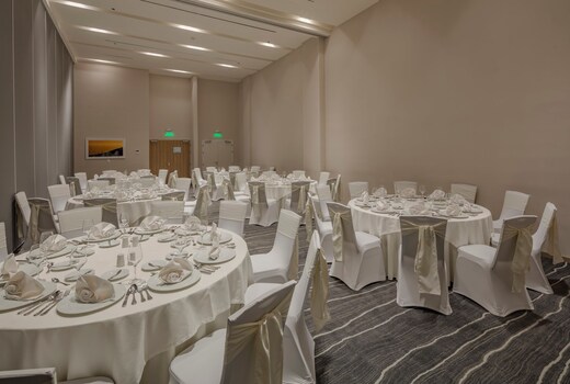 Holiday Inn & Suites Aguascalientes