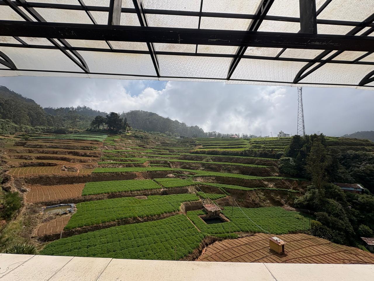ROZANA RETREAT