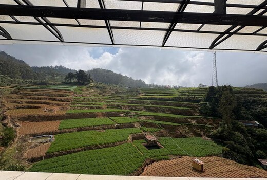 ROZANA RETREAT