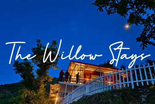 The Willow Stays
