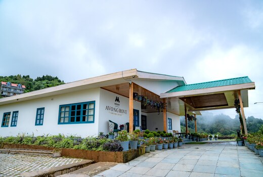 Avongrove Tea Boutique Bungalow || 4 BHK Luxurious Villa