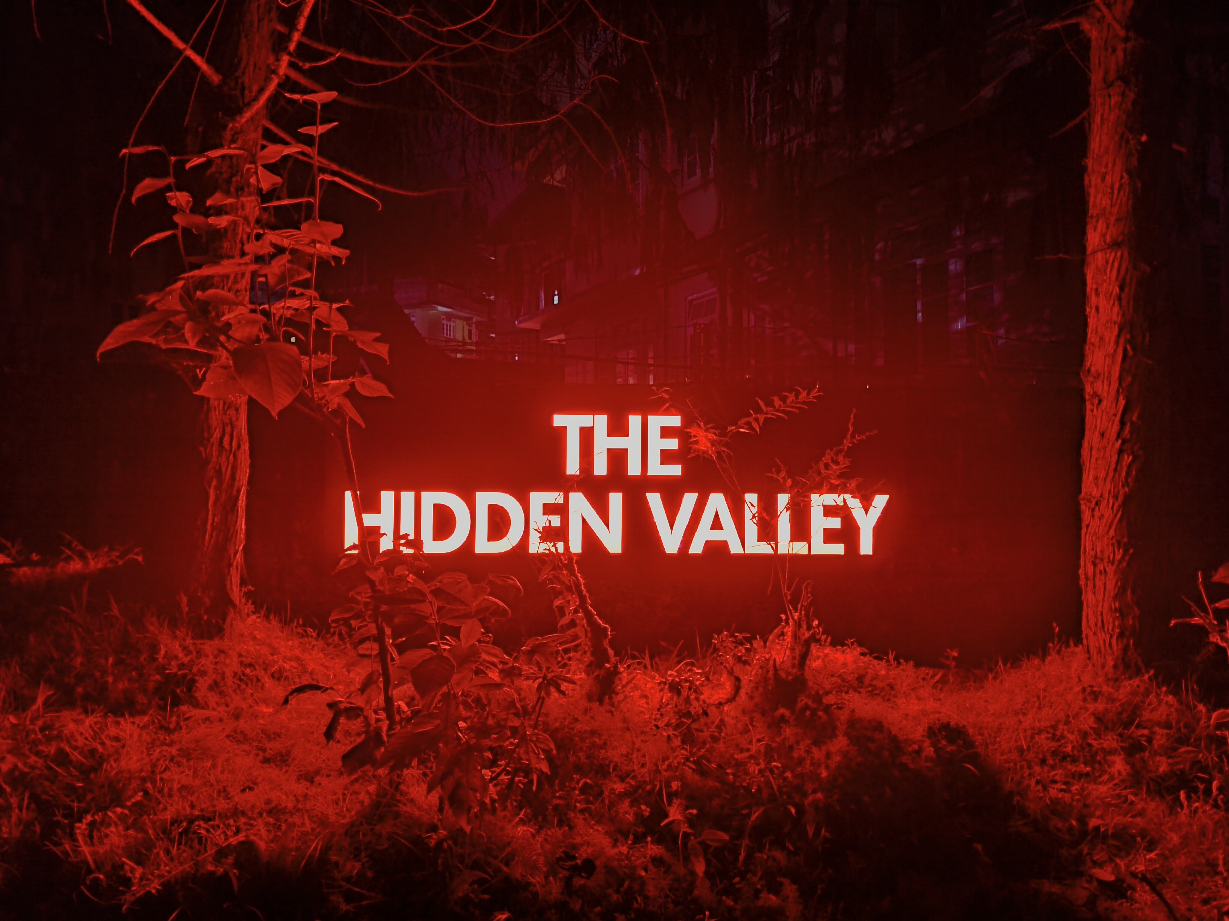 Silverhood Hidden Valley