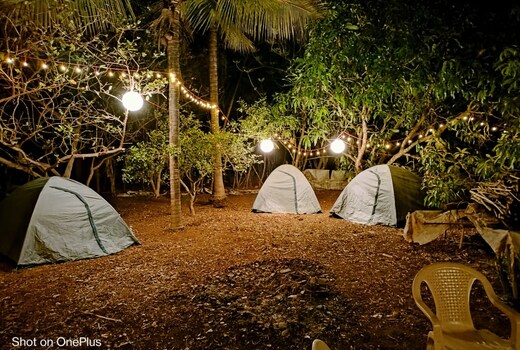 Dapoli Nature Camp