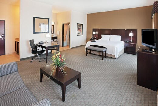 Hampton Inn & Suites by Hilton Dumas