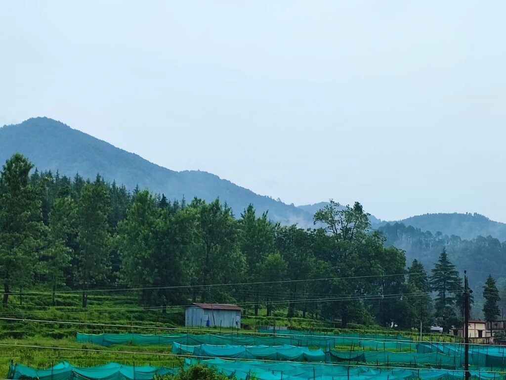 Hill View Mansion Homestay