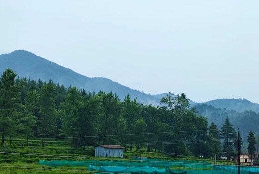 Hill View Mansion Homestay