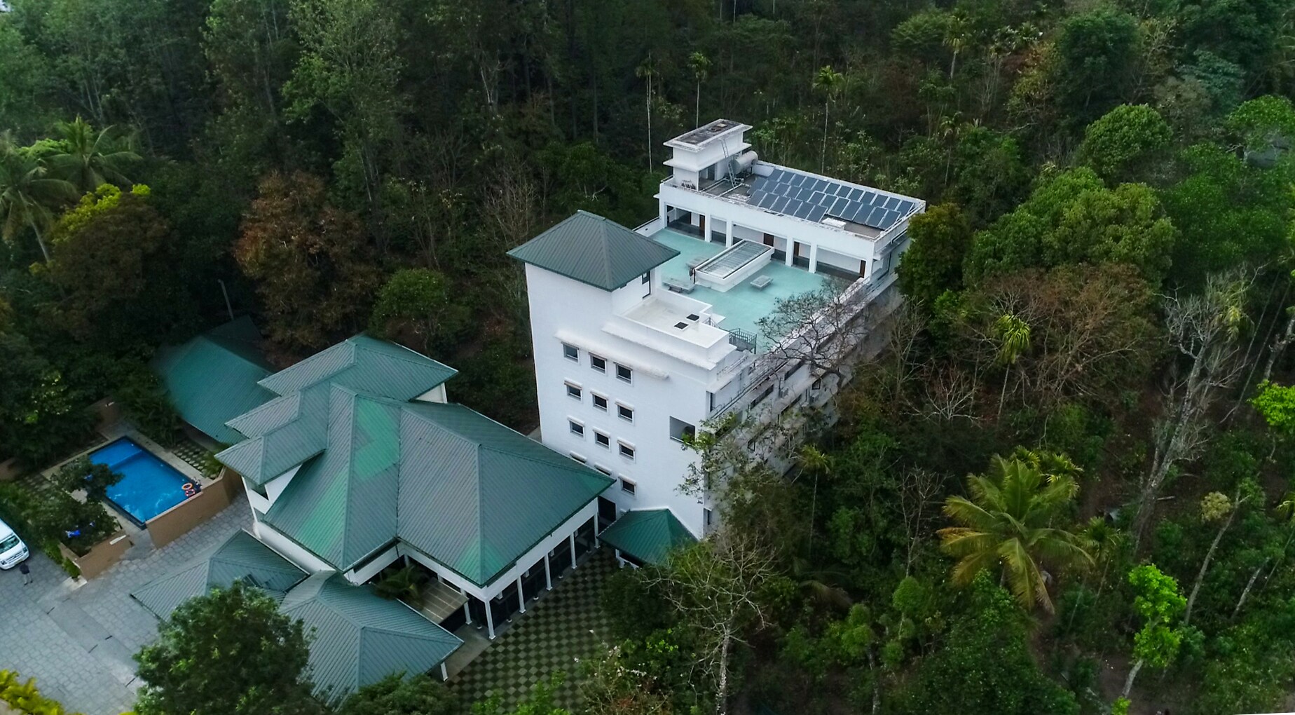 Peppervine Thekkady