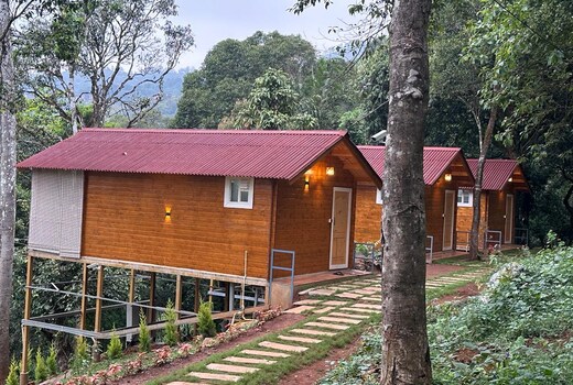 Coorg JungleMist