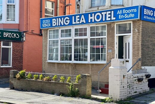OYO Binglea Hotel