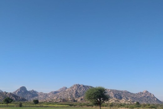Jawai jungle Safari camp