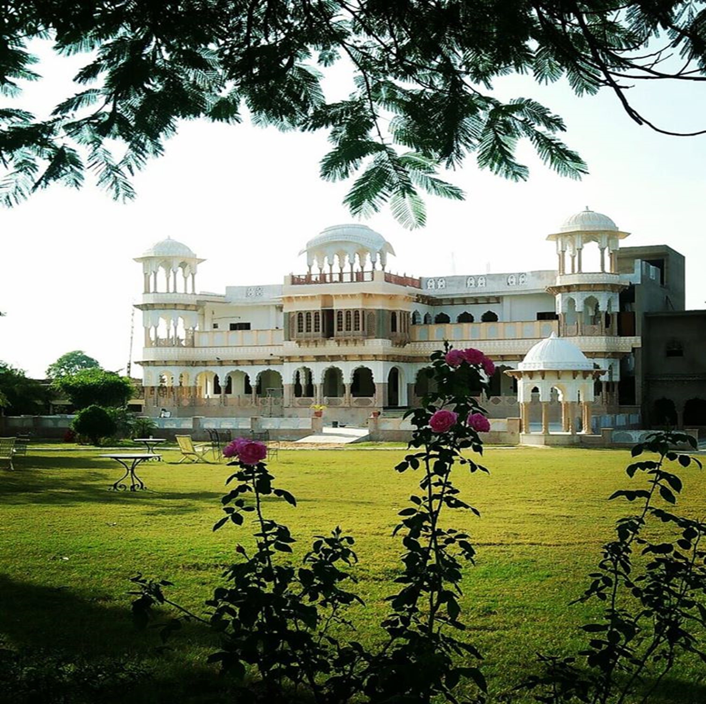 The Pushkar Bagh Resort