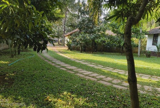 The Mangosteen Home Stay