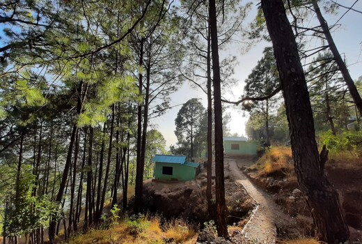 Rohini village homestay