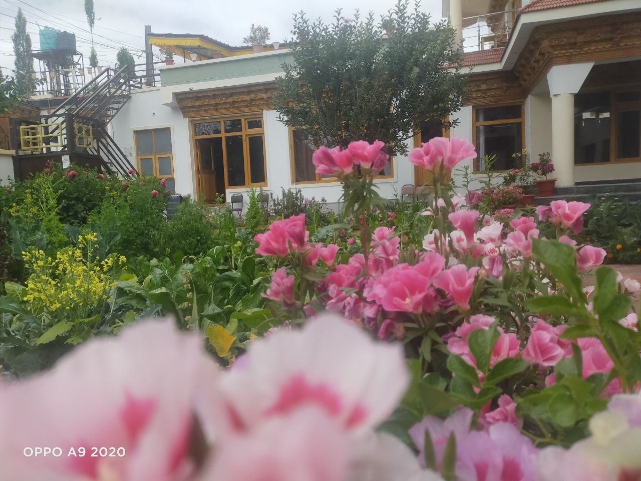 NEW MOON GUEST HOUSE