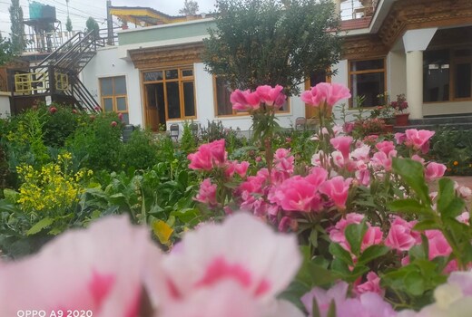 NEW MOON GUEST HOUSE