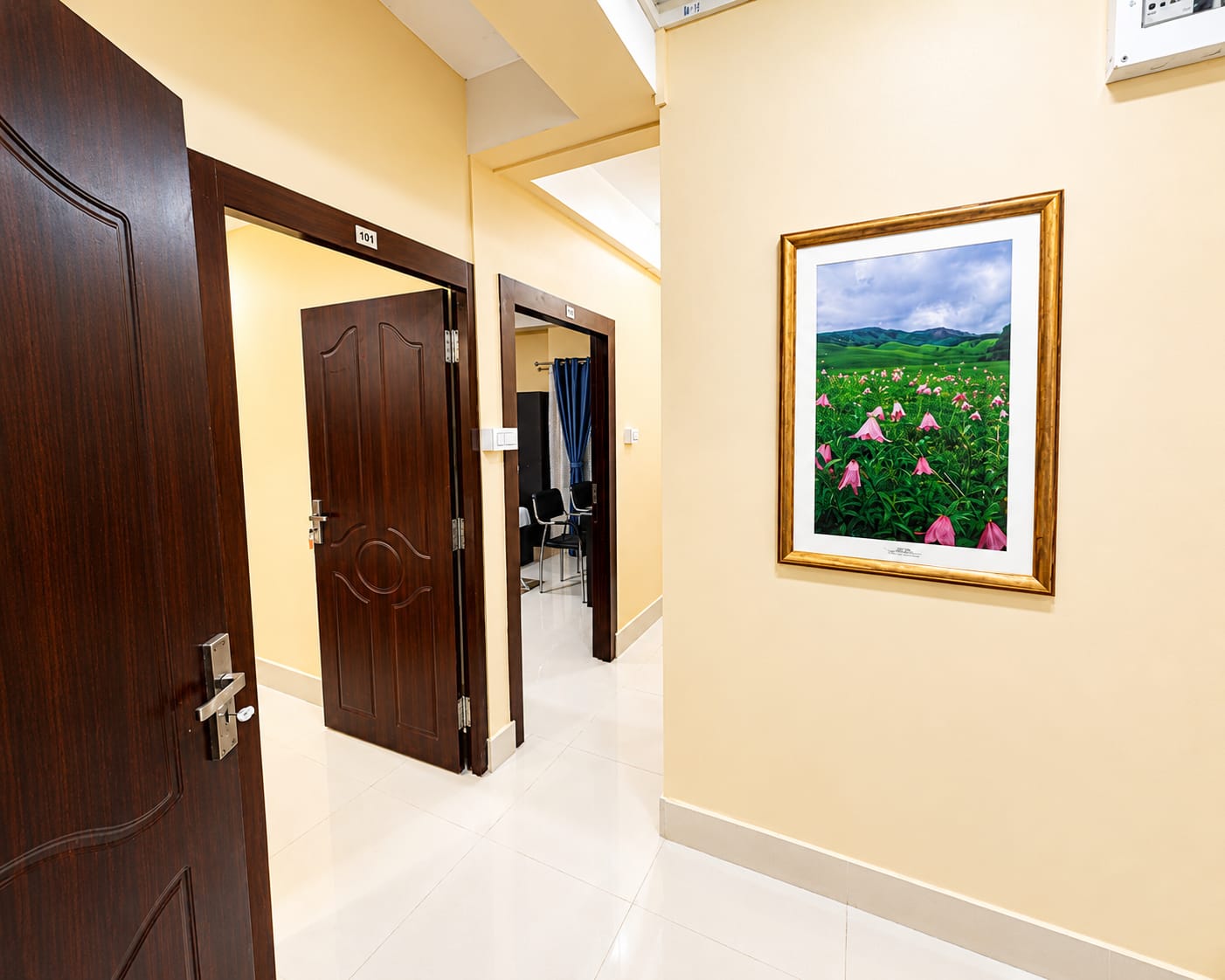 Main gallery