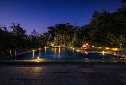 Mahua Tola Tadoba
