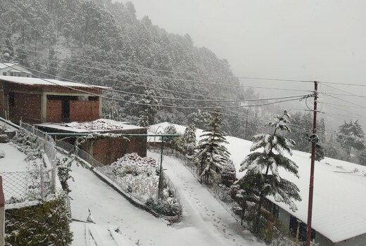 Just Naturals Wellness Resort Nainital