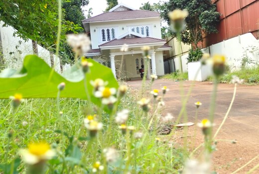 Atlas HomeStays