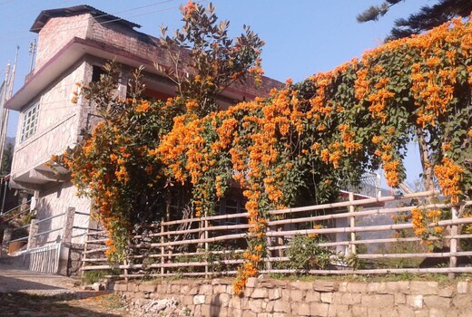 SILENT ECHO FARMSTAY BARA MANGWA