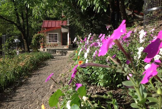 Abbotsford Prasada Bhawan
