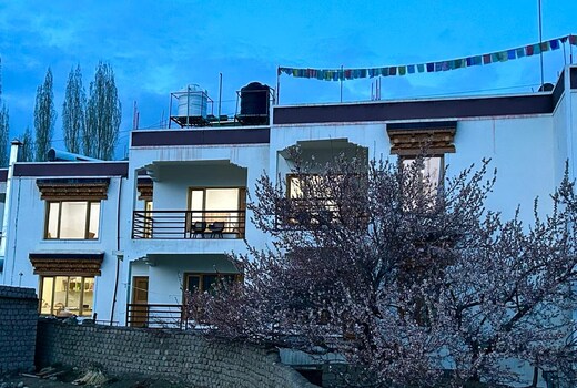 Nima's Villa