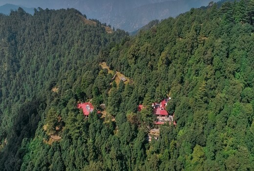 Mary Budden Estate