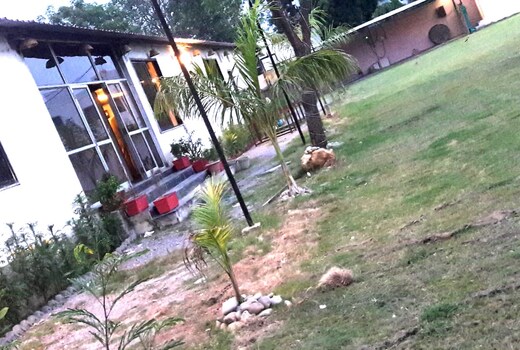 The Buddhaz Resort