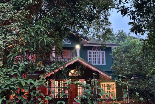 Bamboo heritage
