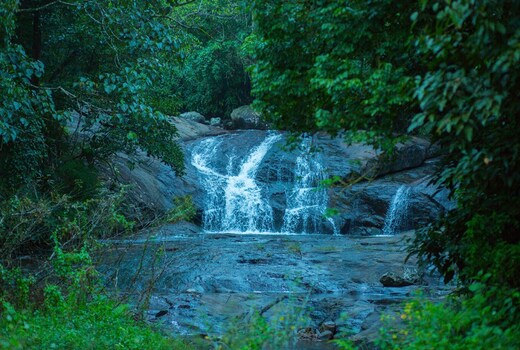 Wild Courtyard Resort Vythiri