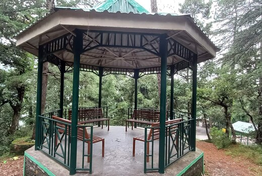 Cedar Hideaway 2Bhk Deodar forest view full flat