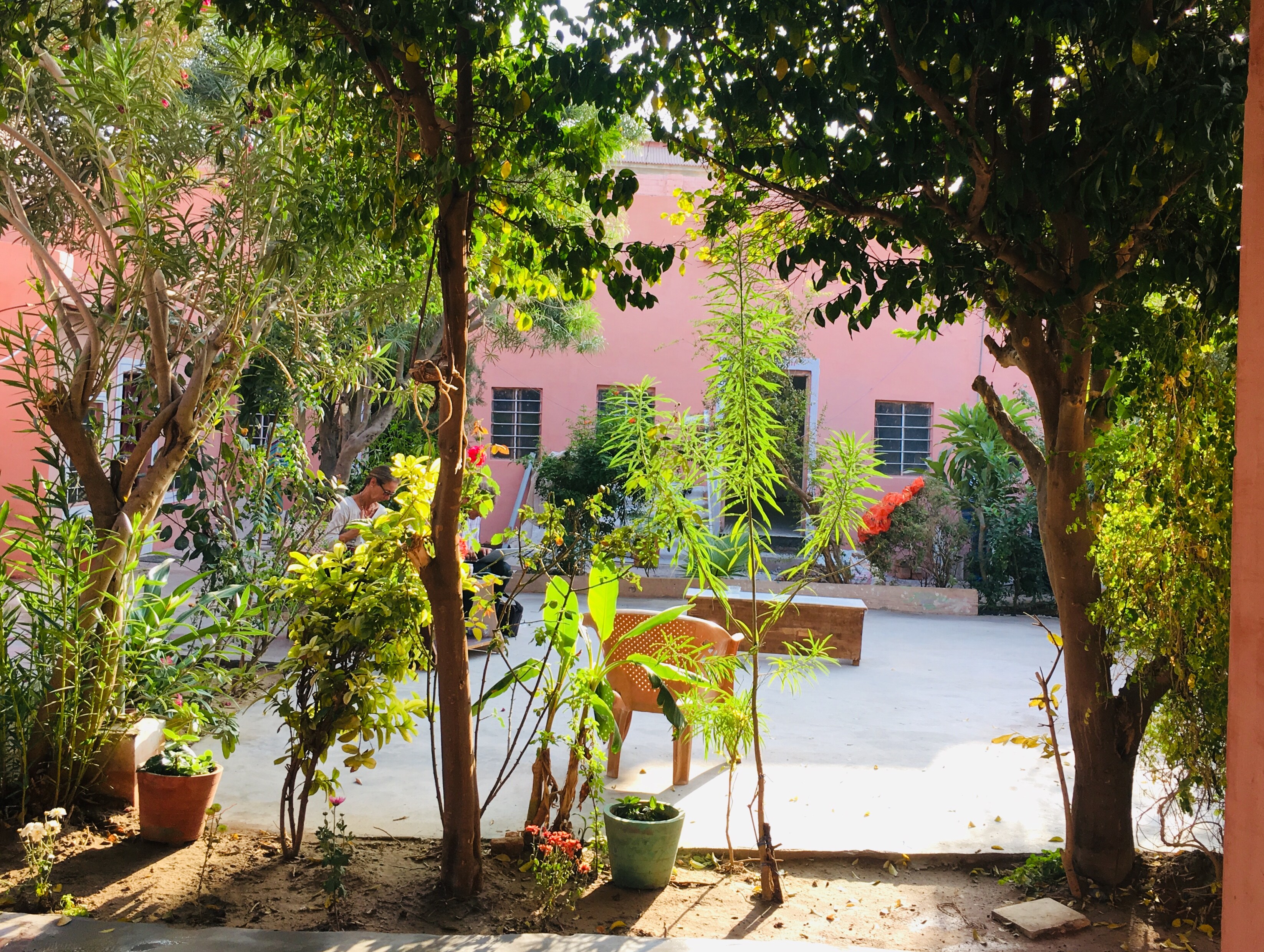 saffron guest house