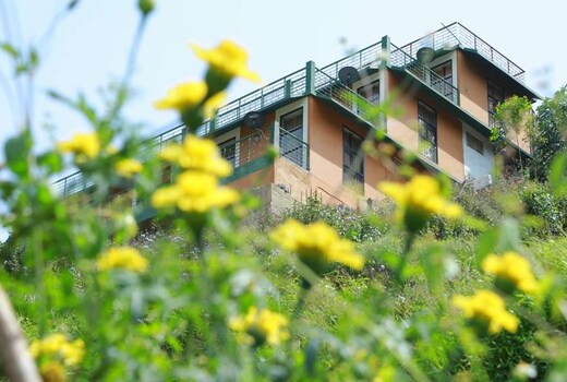 Golden Vintage Residency| Rooms & Guided Treks