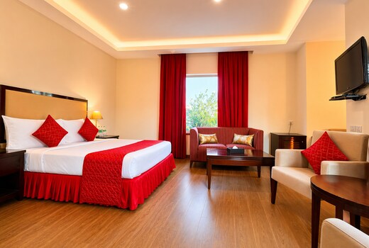 Hotel Amber Palace