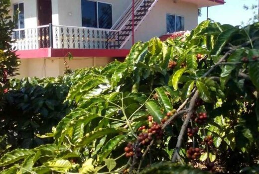Nithin 3 BHK Homestay