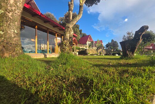 The Jungle Hook Binsar