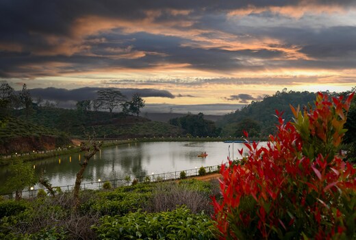 Jungle View resort